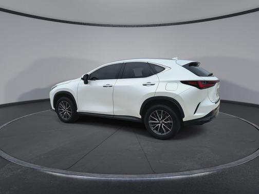 Eminent White Pearl 2024 Lexus NX 250 Premium