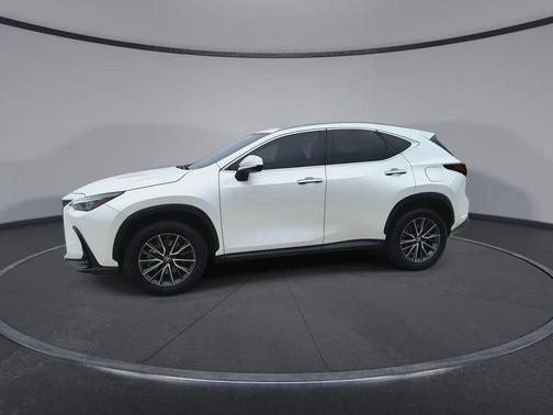 Eminent White Pearl 2024 Lexus NX 250 Premium