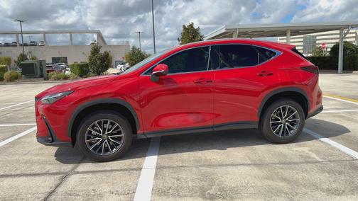 Redline 2024 Lexus NX 250 Base
