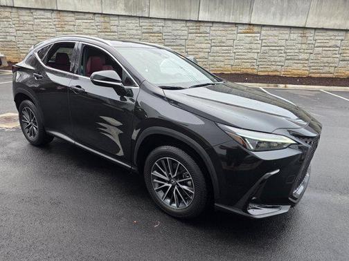 2025 Lexus NX 250 Premium