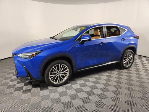 2023 Lexus NX 350 Luxury