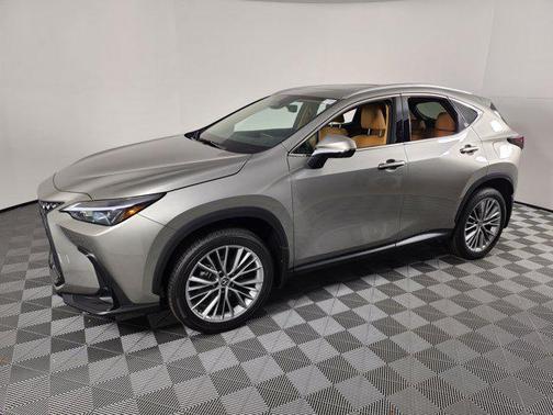 2025 Lexus NX 350 Premium