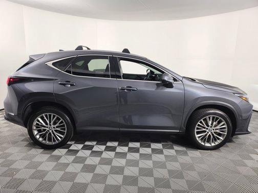 2024 Lexus NX 350h Luxury