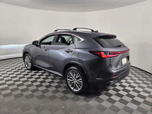 2024 Lexus NX 350h Luxury