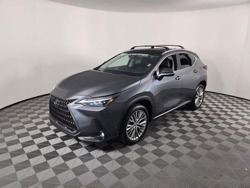 2024 Lexus NX 350h Luxury