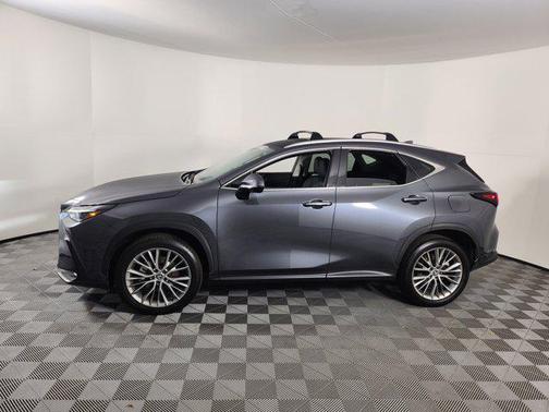2024 Lexus NX 350h Luxury