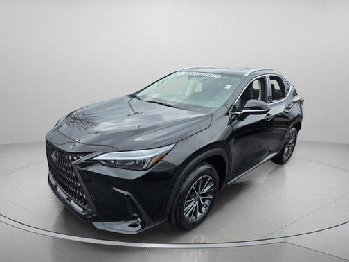 2025 Lexus NX 250 Premium