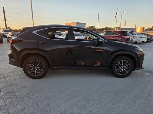 2024 Lexus NX 250 Premium