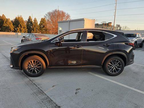 2024 Lexus NX 250 Premium
