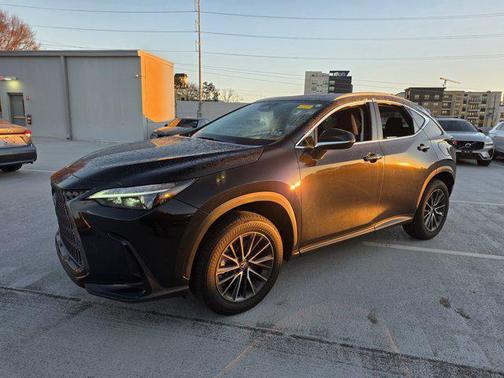 2024 Lexus NX 250 Premium
