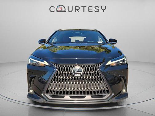 2024 Lexus NX 350 Premium