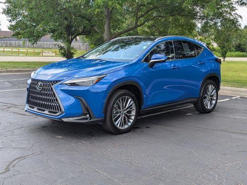 2024 Lexus NX 350h Luxury