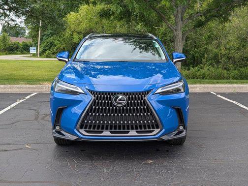 2024 Lexus NX 350h Luxury