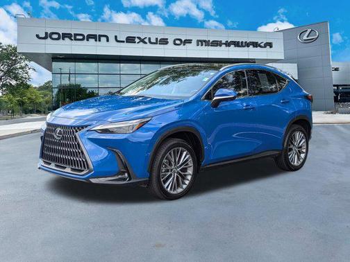 2024 Lexus NX 350h Luxury