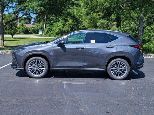 2025 Lexus NX 350h Luxury