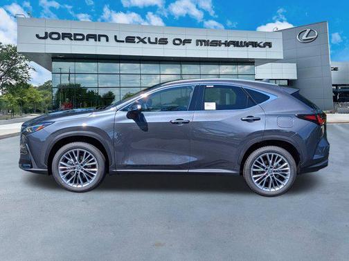 2025 Lexus NX 350h Luxury