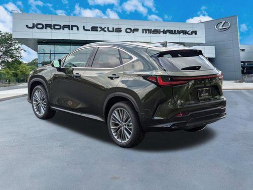 2025 Lexus NX 350 Luxury