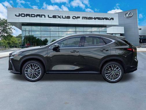 2025 Lexus NX 350 Luxury
