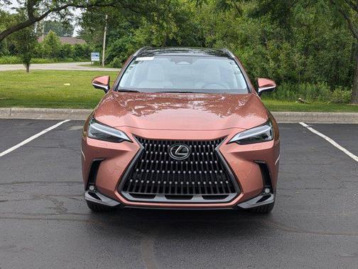 2025 Lexus NX 350h Luxury