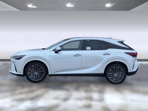 2025 Lexus RX 350 Luxury