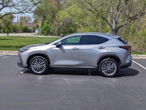 2025 Lexus NX 350 Luxury