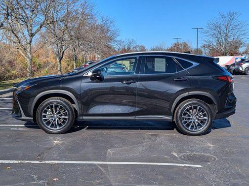 2025 Lexus NX 350 NX 350