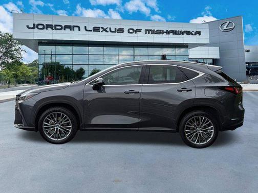 2022 Lexus NX 350h Premium