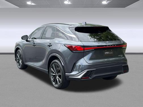 Cloudburst Gray 2025 Lexus RX 350 Premium