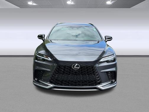 Cloudburst Gray 2025 Lexus RX 350 Premium