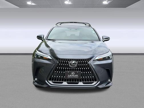 Cloudburst Gray 2024 Lexus NX 350 Premium