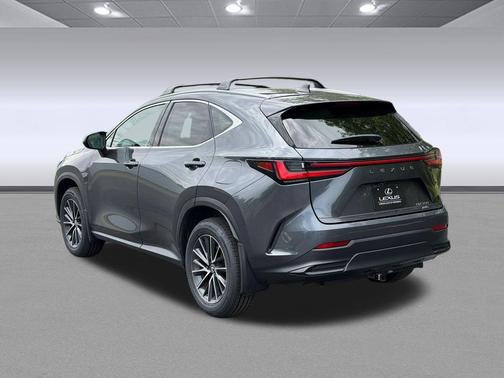 Cloudburst Gray 2024 Lexus NX 350 Premium