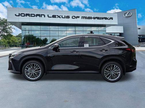 2025 Lexus NX 350h Luxury