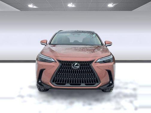 2025 Lexus NX 350h Luxury
