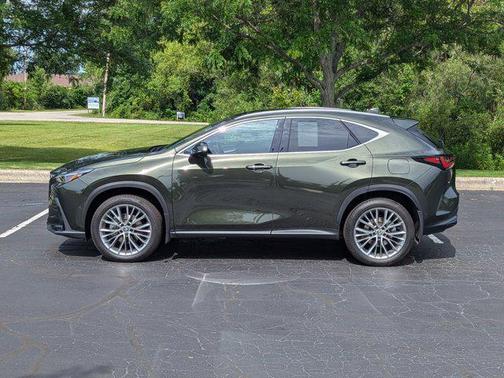 2025 Lexus NX 350 Luxury