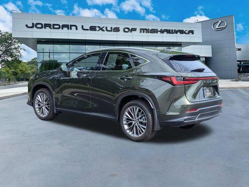 2025 Lexus NX 350 Luxury