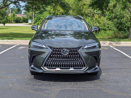 2025 Lexus NX 350 Luxury