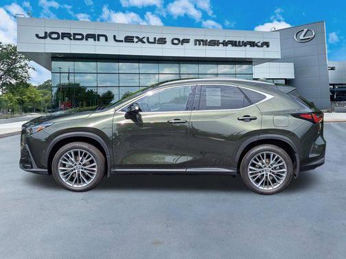 2025 Lexus NX 350 Luxury