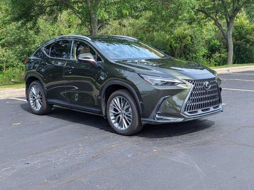 2025 Lexus NX 350 Luxury