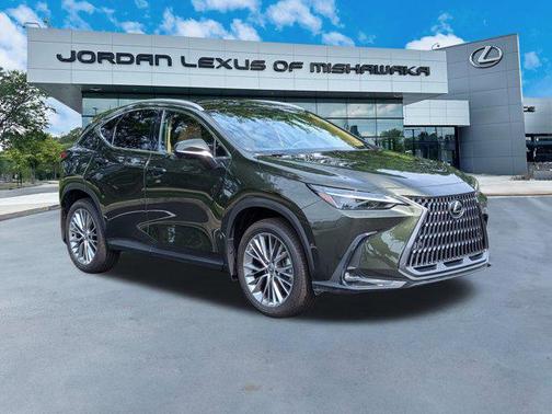 2025 Lexus NX 350 Luxury
