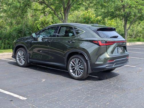 2025 Lexus NX 350 Luxury