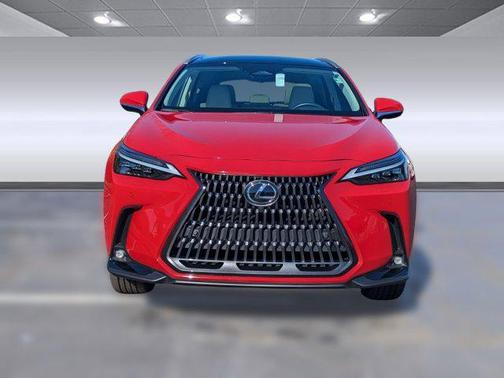 2025 Lexus NX 350 Luxury