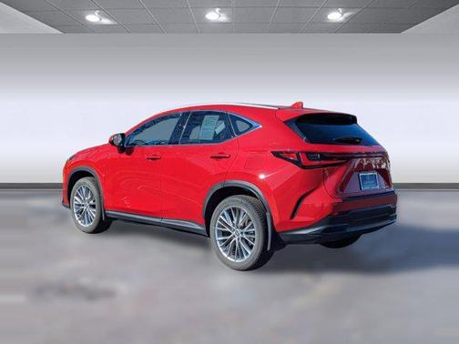 2025 Lexus NX 350 Luxury