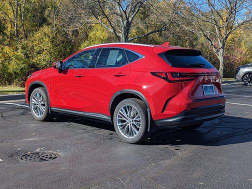 2025 Lexus NX 350 Luxury