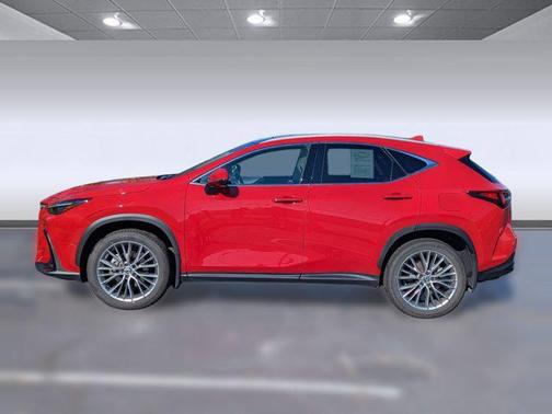 2025 Lexus NX 350 Luxury