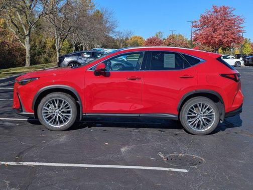 2025 Lexus NX 350 Luxury