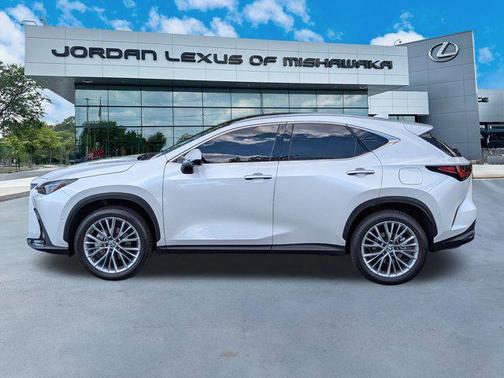 2025 Lexus NX 350h Luxury