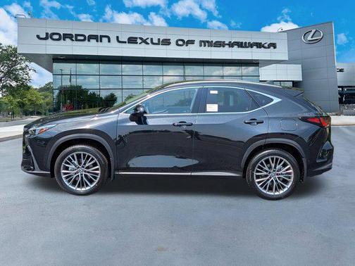 2025 Lexus NX 350 Luxury