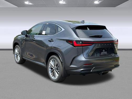 Cloudburst Gray 2026 Lexus NX 350 Luxury