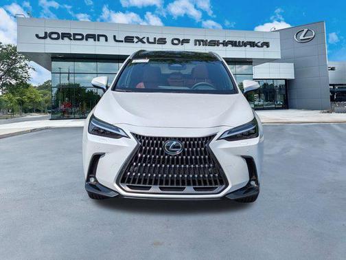 2025 Lexus NX 350h Luxury