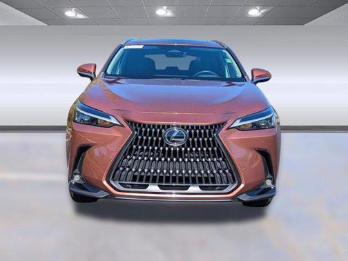 2025 Lexus NX 250 Premium